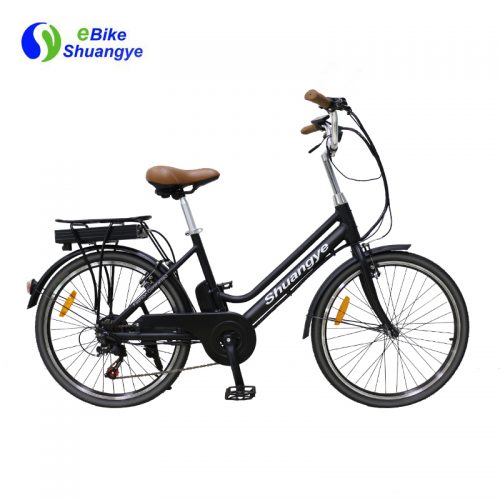 Shuangye Cheap Folding City Electric Bicycle Shuangye Ebike 3164