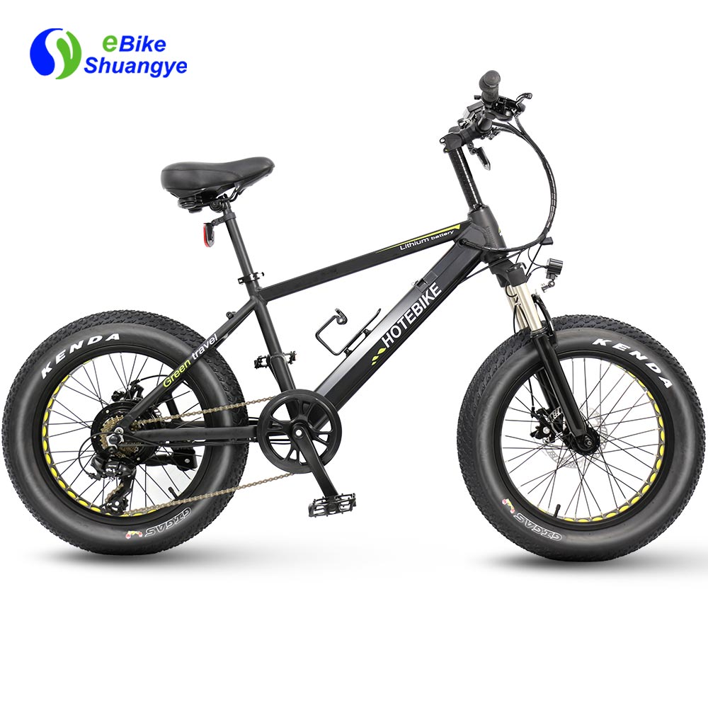 motorized bicycle long distance