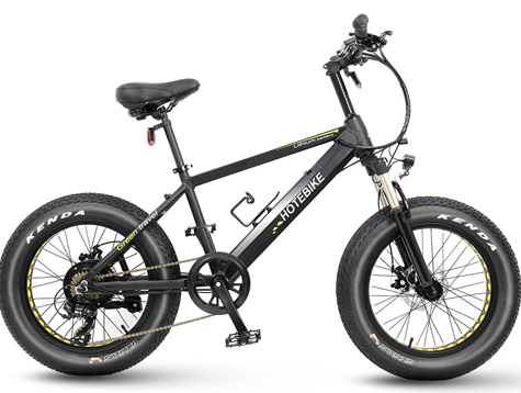 Two types of fat tire electric cruiser bike