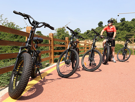 The best benefits of electric bikes for adults