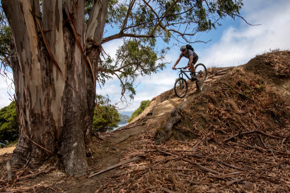 A panopticon of iconic Bay Area views – Biking Angel Island