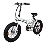 2020 Top 10 Best Folding Electric Bikes