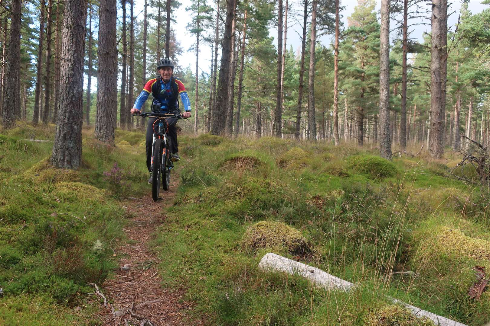 Off-road fun on mountain bike trail from Inverness, taking in Daviot, Tomfat and south Loch Ness tracks - Blog - 6