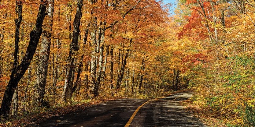 Fall cycling: Experience colourful season outdoors in Parry Sound