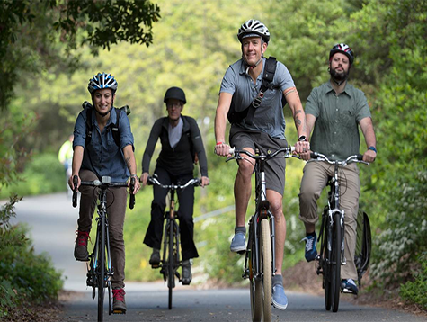 Difference between different types of bicycle handlebars.