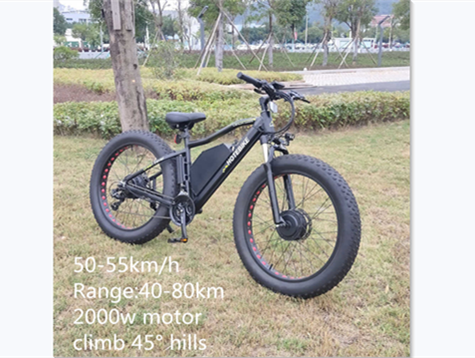 Best Dual Motor Electric Bikes on Market