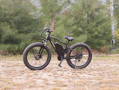 Should I buy the cheapest electric bike