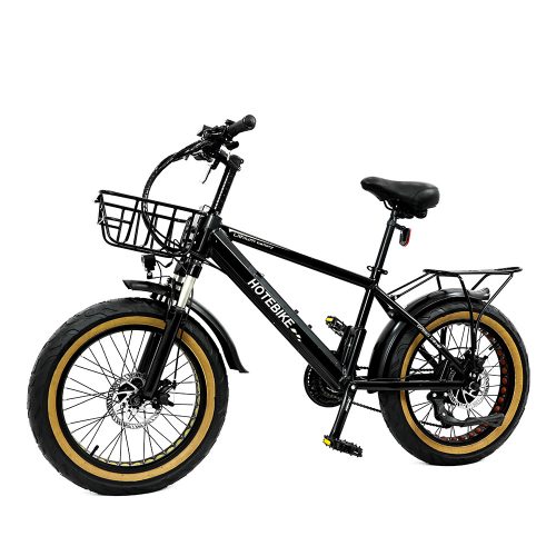 ebike