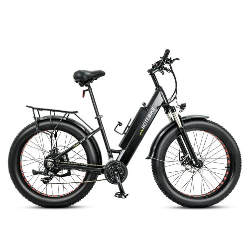 Shuangye ebike - 17 years Professional electric bike factory