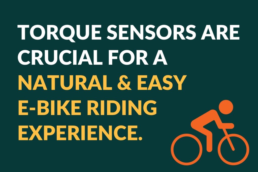 What is a torque sensor on an ebike？ - Blog - 3