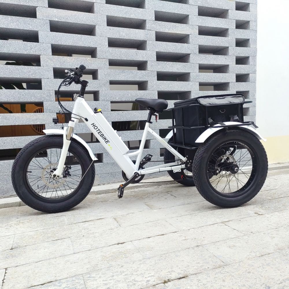 6 Things to Know Before Buying a Three Wheeled Electric Bikes - Blog - 3