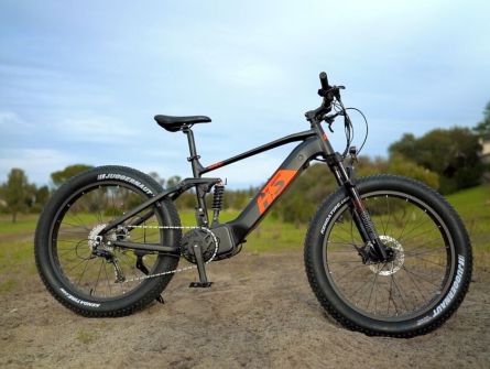 How fast is a 48v 1000w ebike?