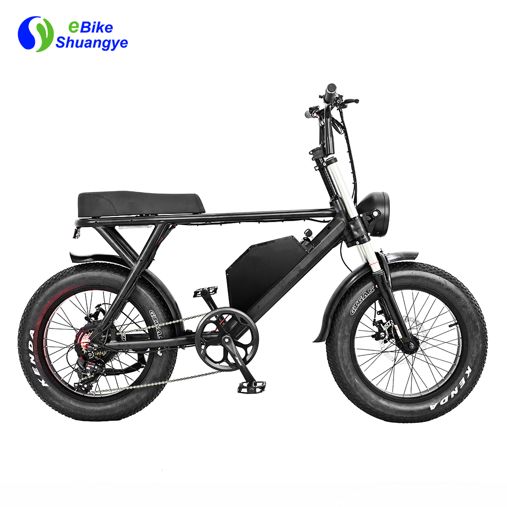 Electric Fat Tire Beach Snow Bike-Matt Black