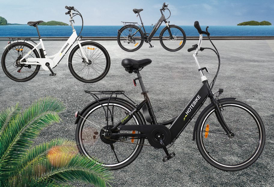 500W vs 750W Electric Bikes: Which One is Right for You? - Blog - 1
