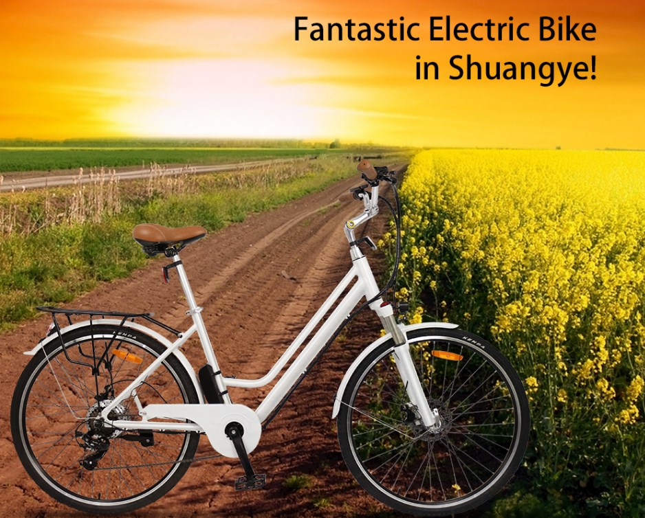 How Long Do Electric Bikes Last?