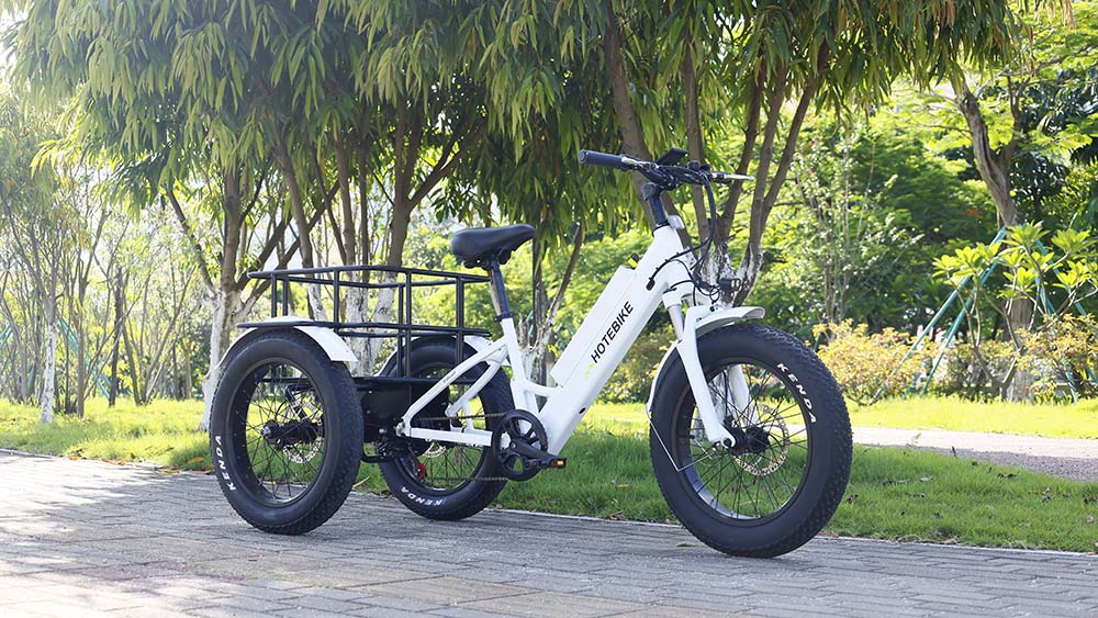 Why you need a cargo e-bike - Blog - 1