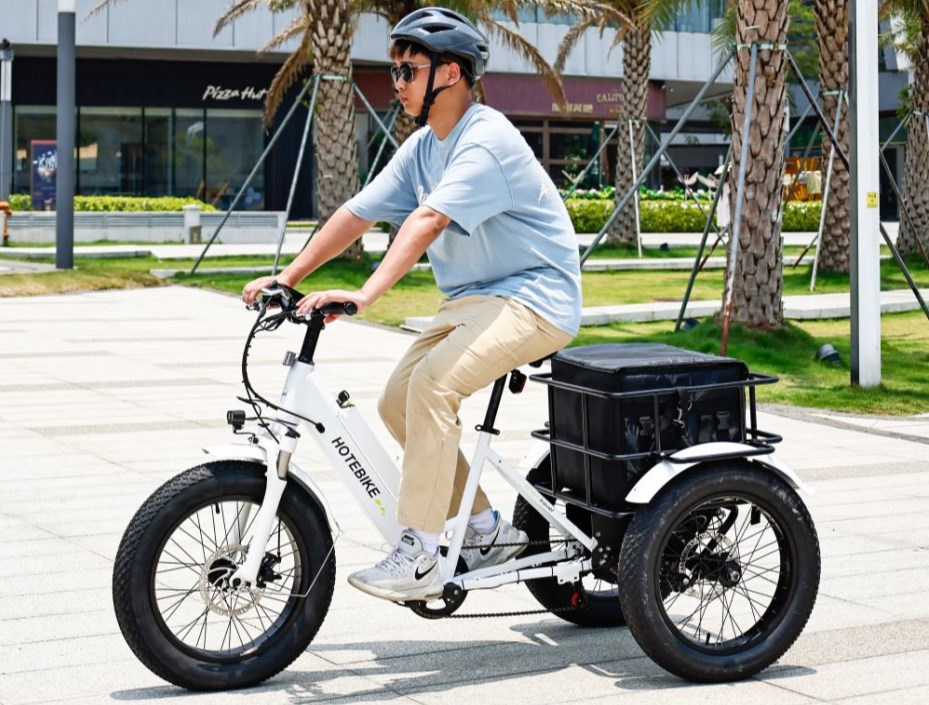 How Fast Can an Electric Tricycle Go? - Blog - 1