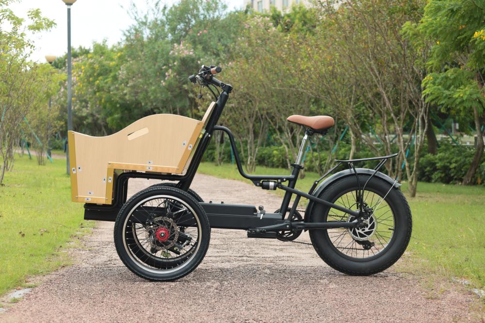 Top 3 Electric Tricycles You’ll Love: Why These 3-Wheel E-Bikes Are a Must-Buy! - Blog - 2