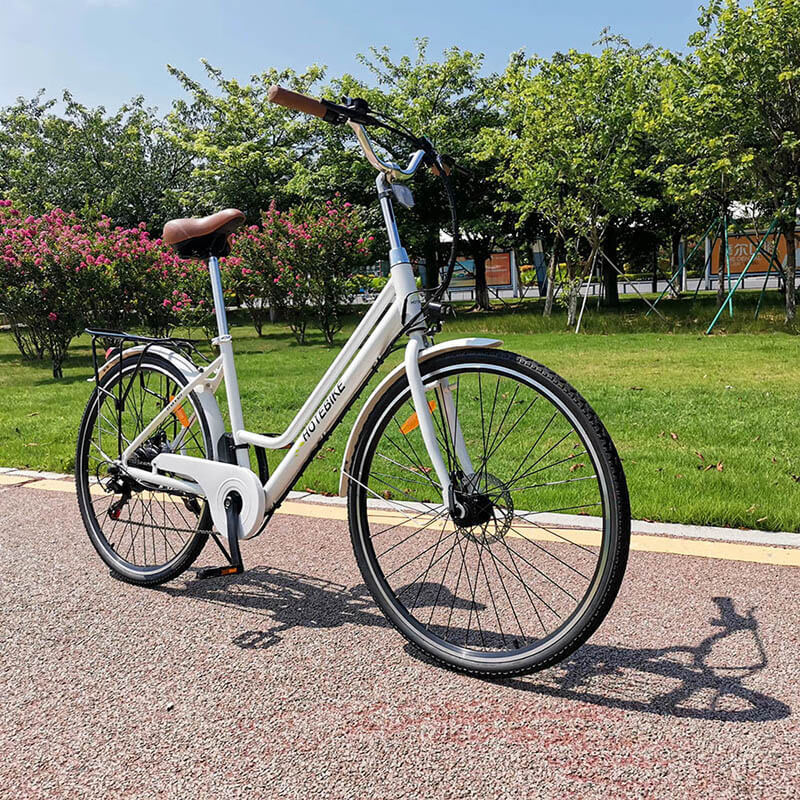 2024's Leading 24 Inch Ebikes for Adult - Blog - 2