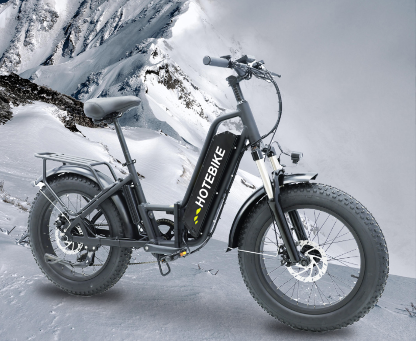 Which Country Uses Electric Bikes the Most? - Blog - 1