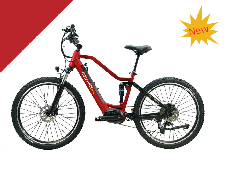 8 Incredible Benefits of Using an Electric Bike - Blog - 2