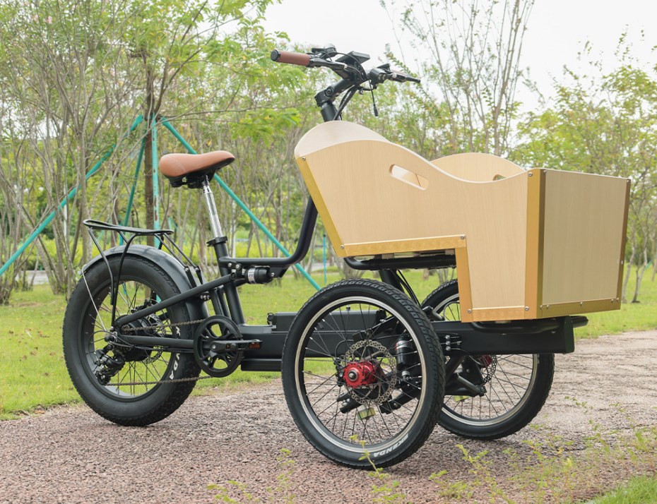 What are the Benefits of E-Trikes? - Blog - 1