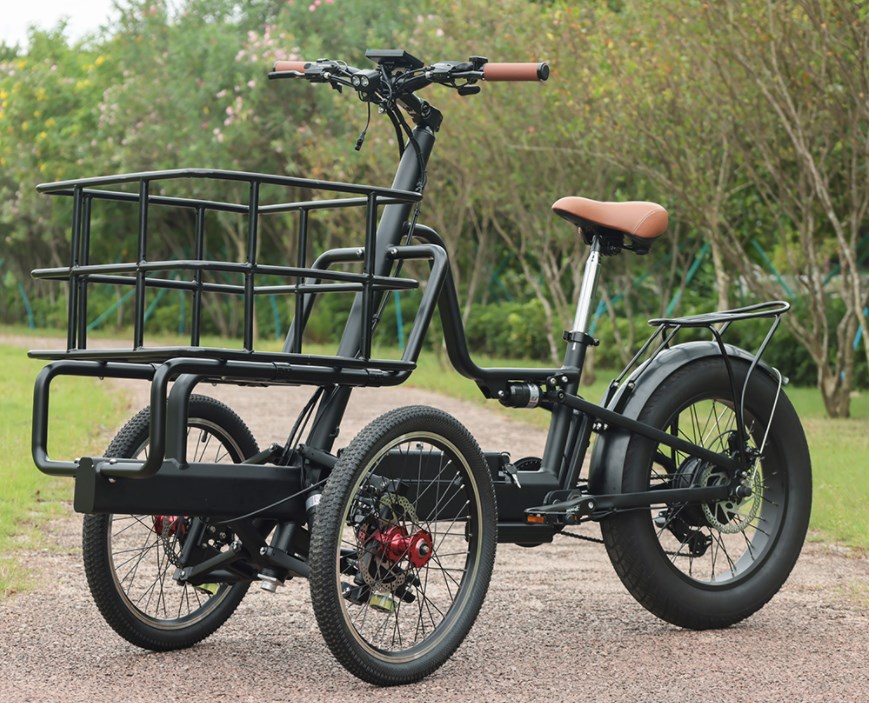 Adult Electric Tricycle Batteries: What You Need to Know