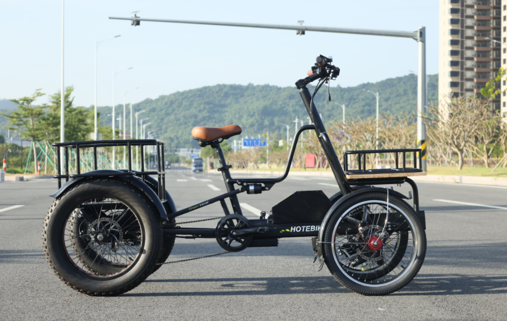 new design 4 wheels cargo bike electric 4 wheel electric bike adult four wheel cargo electric bike - Electric Cargo Bike - 1